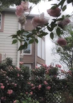 なくしたもの、みつけたもの