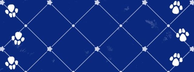 りん  ＠月夜見のサブさんの壁紙画像