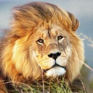 sanasさんのアイコン画像