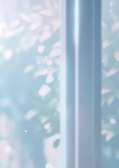 組織『Blizzard』