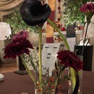 ユウコさんのアイコン画像