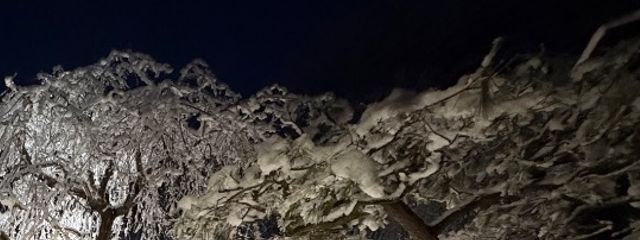 M385さんの壁紙画像
