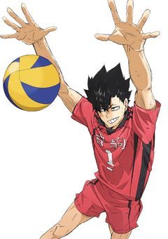 #黒尾の弟、烏野高校所属です