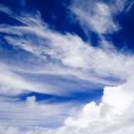 そらさんのアイコン画像