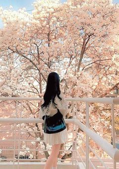 運命の居場所   。