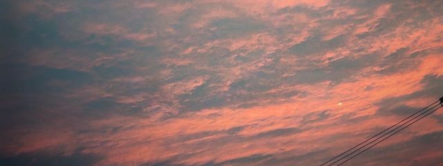 碧空さんの壁紙画像