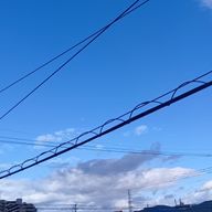 卯月さんのアイコン画像