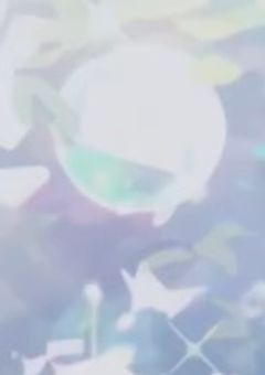 ダンボール少女、‘愛’されたいようです