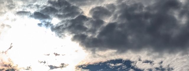 咲 羽‎‎ 𖤐 ̖́-‬     低浮さんの壁紙画像