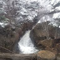 美世さんのアイコン画像