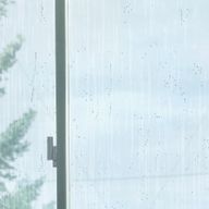 そば好きの天然水さんのアイコン画像