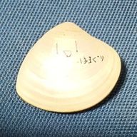 はまぐりさんのアイコン画像