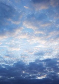 その目に映る空は