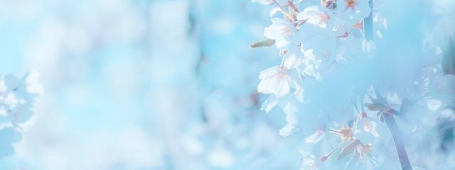 なぎささんの壁紙画像