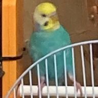 ななかさんのアイコン画像