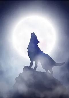 〈🥀🐺⚡️〉イヲリの配信