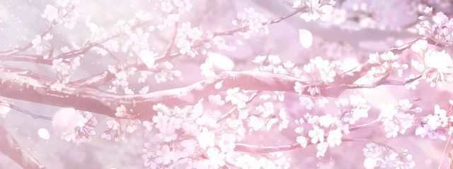 ましろさんの壁紙画像