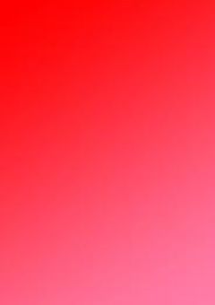 付き合って半年、手も繋げません