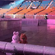 JYPファミリーの虜（twiceとstraykids ）さんのアイコン画像