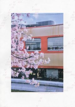 &team. 恋愛短篇集 