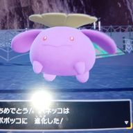 おうたん@お名前募集中さんのアイコン画像