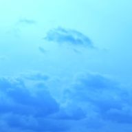 Meyさんのアイコン画像