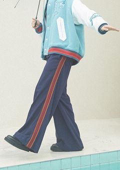 我 が 家 の ね こ