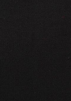 つ🅰️、某呪術の世界に来ちゃったみたいです。