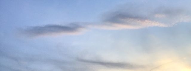 はるさんの壁紙画像