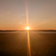 こころさんのアイコン画像