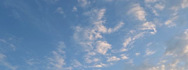 Seraさんの壁紙画像