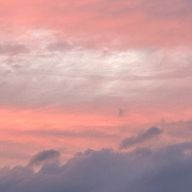 Seraさんのアイコン画像