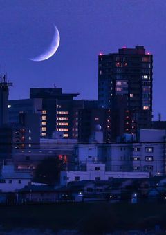 ้ๆใฎ้่ซ้จๅฑ