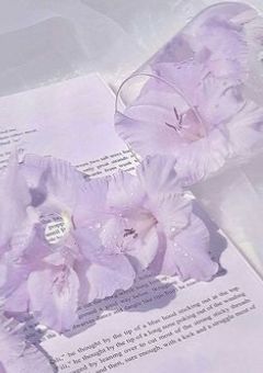 ෆ˚* りあこ拗らせてしんどい ♡｡+:*.