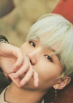 星になった小さな命