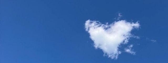 Jibeta🐰📓@フォロセさんの壁紙画像