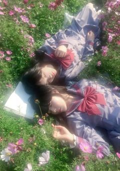 ⠀ ⠀   今 日 好 き 