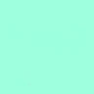 ルオ🔹🐦‍⬛さんのアイコン画像