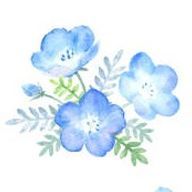 七瀬さんのアイコン画像