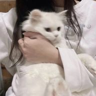 　　　𝘞𝘦𝘪さんのアイコン画像