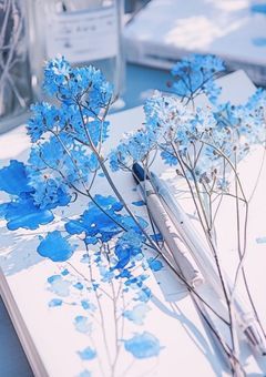 可惜夜に告ぐ。