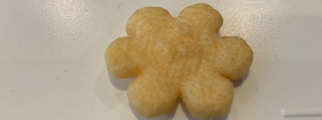 白雪 あおい 犬卵推し✨さんの壁紙画像