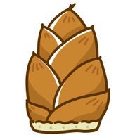 たけのこさんのアイコン画像