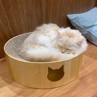 mionさんのアイコン画像