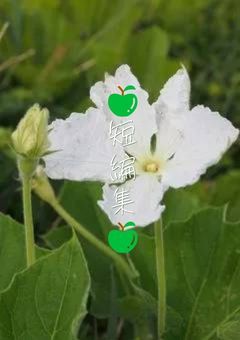 🍏 短 編 集 🍏