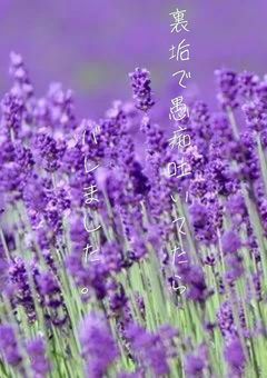 裏 垢 で 愚 痴 吐 い て た ら バ レ ま し た 。