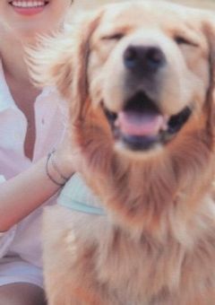 可愛い大型犬になぜか愛される