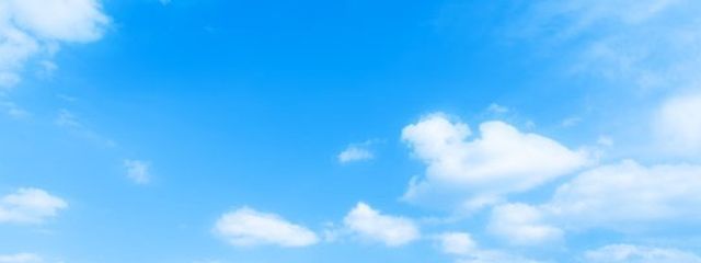 ブルーキャットさんの壁紙画像