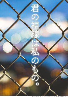 君の視線は私のもの 。