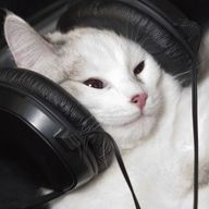 鳴さんのアイコン画像